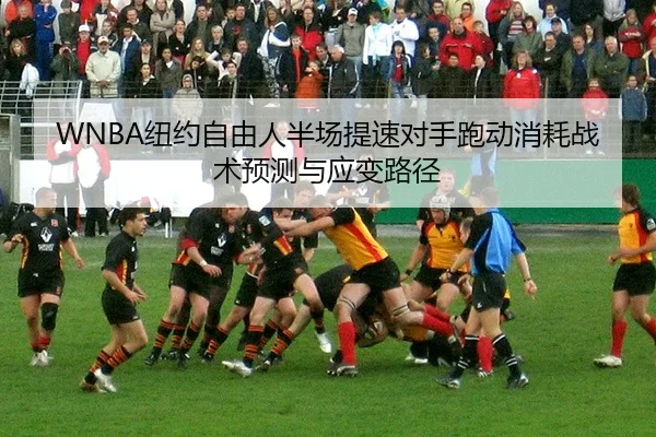 niu-yue-zi-you-ren-ban-chang-ti-su-dui-shou-pao-dong-xiao-hao-zhan-shu-yu-ce-yu-ying-bian-lu-jing-2-651.jpg